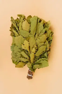 Веник дуб Веник дуб