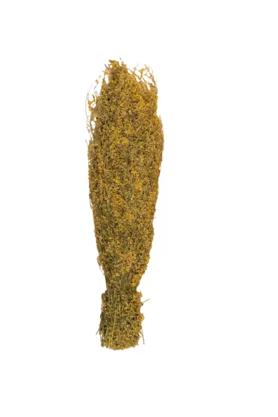 Травы для бани Woodson, донник Травы для бани Woodson, донник