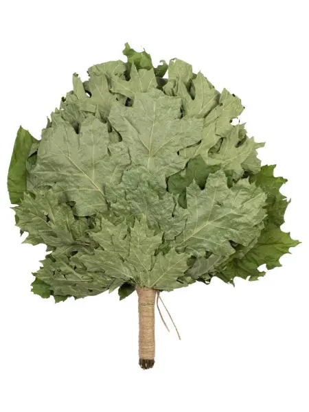 Веник для бани Woodson Премиум, дуб канадский с обмоткой Веник для бани Woodson Премиум, дуб канадский с обмоткой