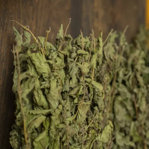 Травы для бани Woodson, мелисса Травы для бани Woodson, мелисса