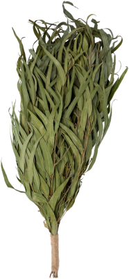 Веник для бани Woodson Премиум, эвкалипт с обмоткой