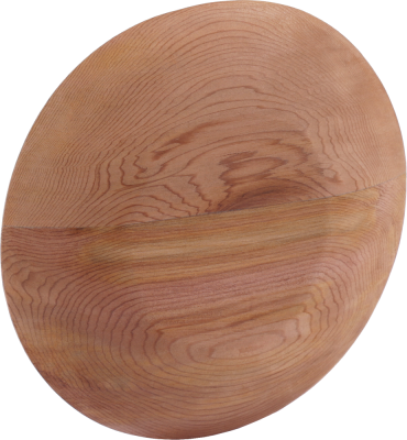 SAWO Заглушка вентиляционная диаметр 100мм, 631-D