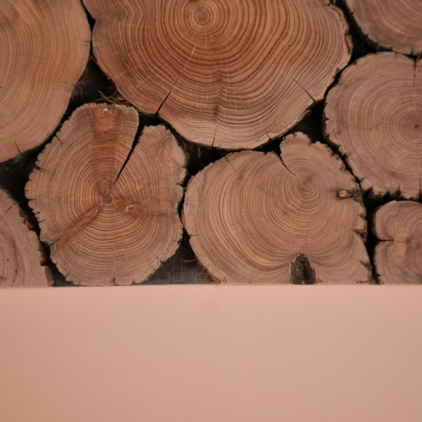 Панно с можжевельником Woodson 200*20, сборное